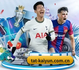 五个功能入口,赛程查询路径更短 | kaiyun